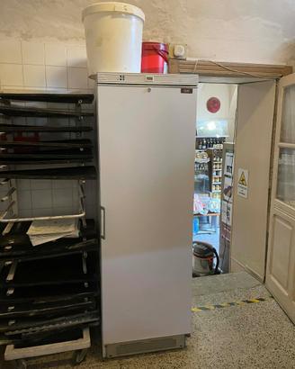 Frigorifero Chef elite professionale