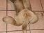 Immagine 3