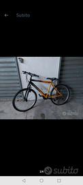 bici Gianni Bugno