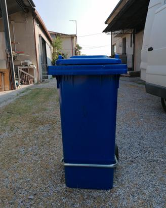Bidone spazzatura