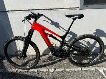 Bici elettrica a pedalata assistita
