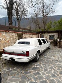 Limousine Trophy Lincoln Town Car