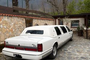 Limousine Trophy Lincoln Town Car