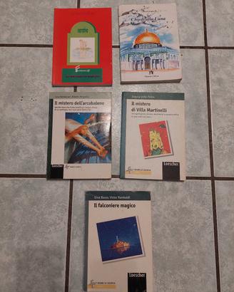 Lotto libri narrativa