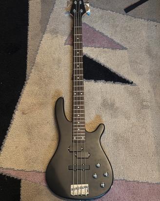 Basso elettrico Vision