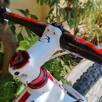 MTB FULL CARBON GT