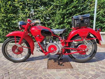 MOTO GUZZI FALCONE TURISMO  1954