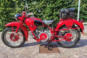 MOTO GUZZI FALCONE TURISMO  1954