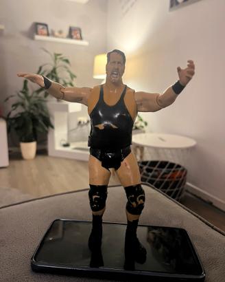 Wwe big show westrler