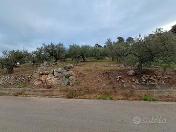 Terreno contrada Mendola