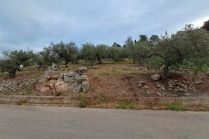 Terreno contrada Mendola