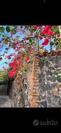 Casa indipendente Timpa di Acireale borgo Santa ca