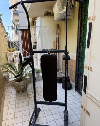 Palestra