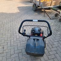 Tagliaerba da giardino