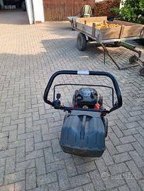 Tagliaerba da giardino