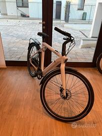Bicicletta elettrica TENWAYS CGO009