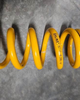 molla ohlins 