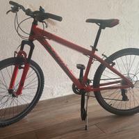 Bicicletta MTB da ragazzo
