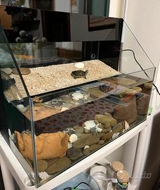 Acquario per tartarughe o pesci
