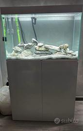 Acquario