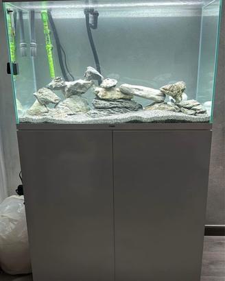 Acquario