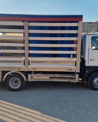 NISSAN CABSTAR 35.13 3.0 D. TUTTO ACCIAIO TELONI