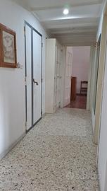 bilocale arredato cosenza centro