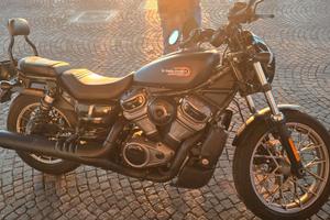 Nightster Special 975 in garanzia HD