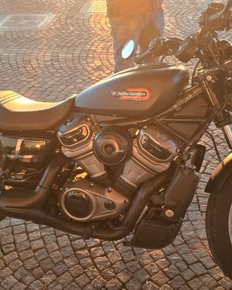 Nightster Special 975 in garanzia HD