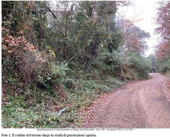 Terreno Agricolo Tempio Pausania [A4347954]