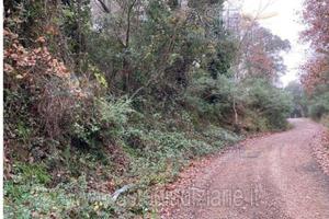 Terreno Agricolo Tempio Pausania [A4347954]