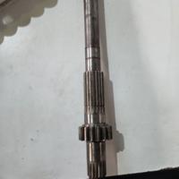 ALBERO ANTONIO CARRARO ZD65013237