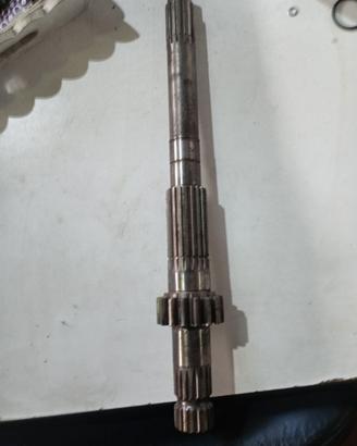 ALBERO ANTONIO CARRARO ZD65013237