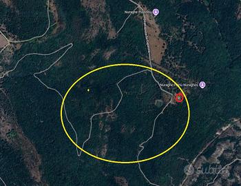 Terreno adatto biodiversità - Monte Minerva -