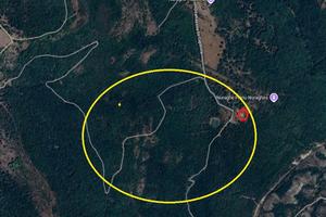 Terreno adatto biodiversità - Monte Minerva -