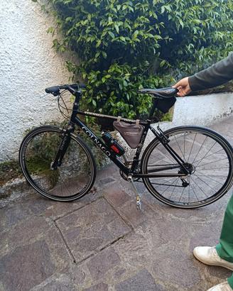 bicicletta Colnago 