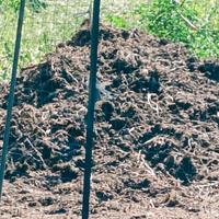 Stallatico e Letame di conigli 