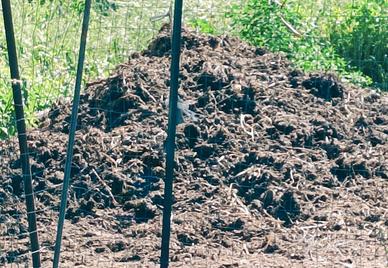 Stallatico e Letame di conigli 