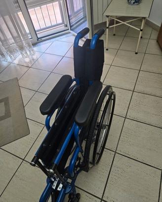 sedia a rotelle
