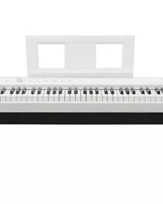 Piano Digitale Echord DP1