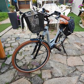 e-bike 