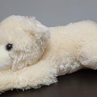 peluche orso 