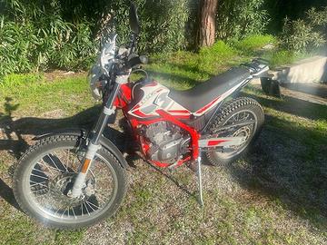 BETA ALP 200