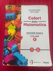 Libro matematica “colori della matematica 1”
