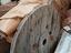 Immagine 1