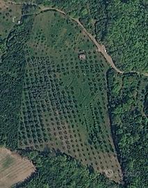 Vendita terreno agricolo