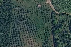 Vendita terreno agricolo