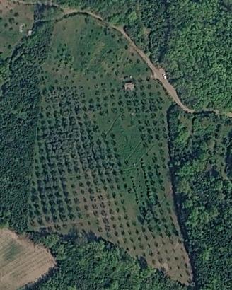 Vendita terreno agricolo