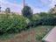 Immagine 19