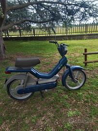 Atala Green 1990